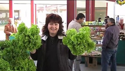 Пазарът в Харманли през 2010 година