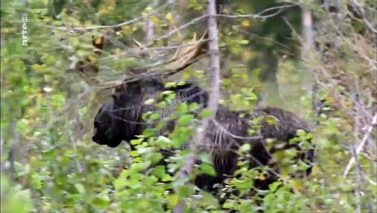 An den Ufern des Mississippi Staffel 1 Folge 1 HD Deutsch