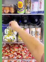 ASMR ORGANIZER UNTUK KULKAS