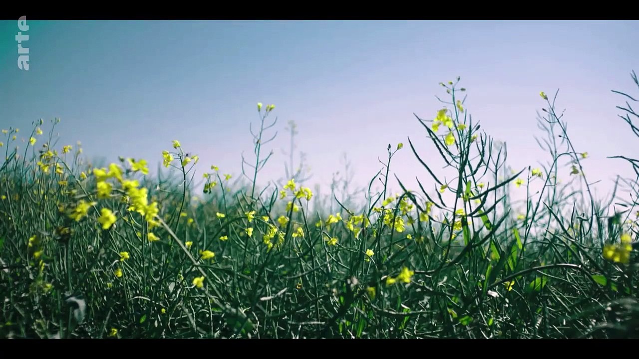 Frieden Staffel 1 Folge 1 HD Deutsch