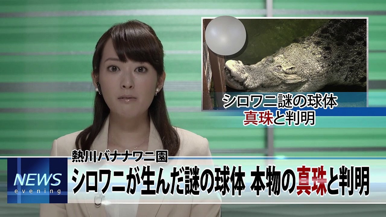 The Next Generation Patlabor Staffel 1 Folge 9 HD Deutsch