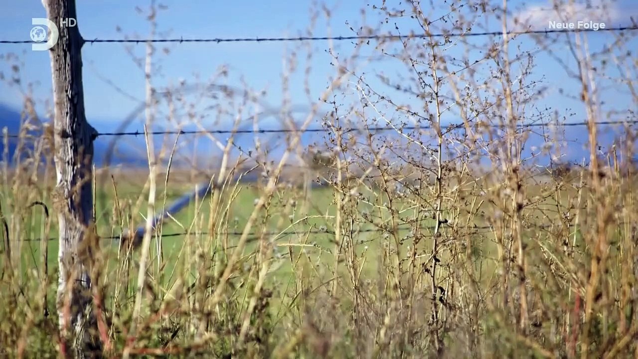 Mad dog - ein schmied für alle fälle staffel 1 folge 6 hd deutsch