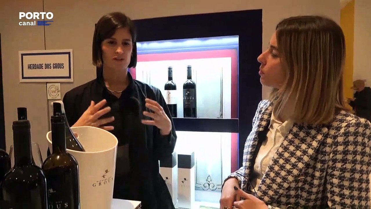VINHOS DO ALENTEJO NO WOW -  PARTE 2