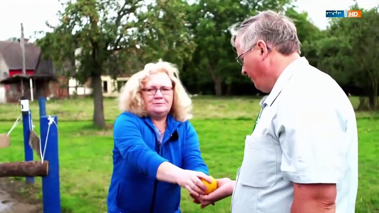 Sommer auf dem Bauernhof Staffel 1 Folge 5 HD Deutsch