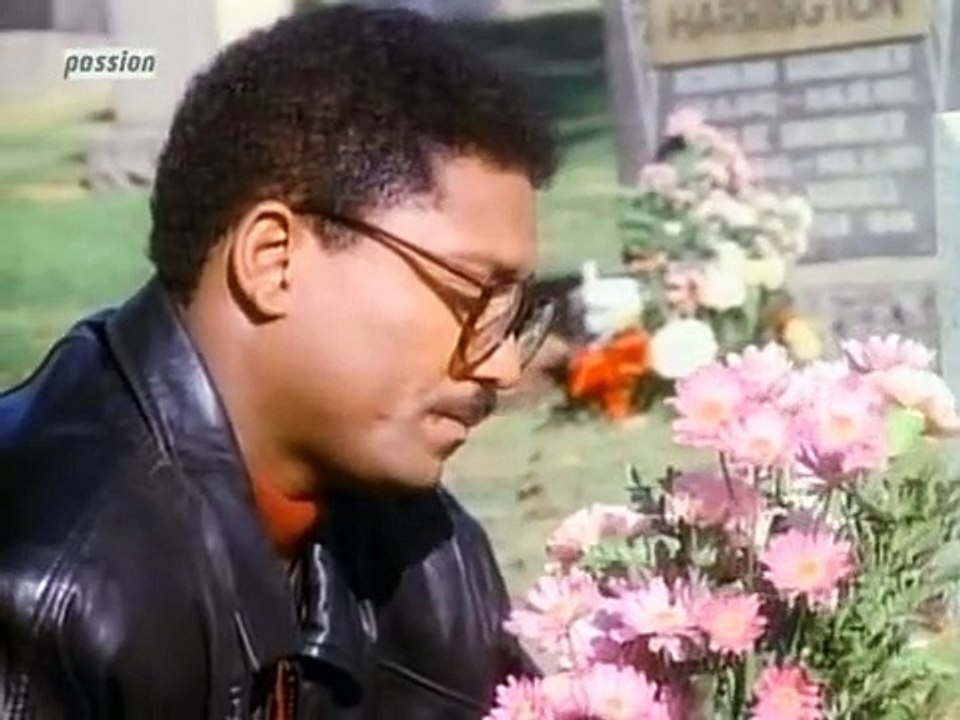 Unter der Sonne Kaliforniens Staffel 12 Folge 20 HD Deutsch