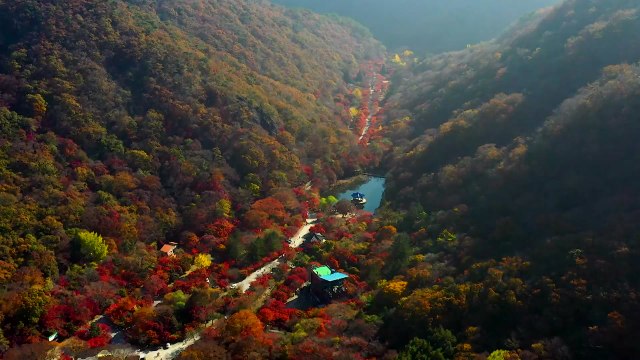 내장산 단풍 이번 주말 절정...케이블카 등 안전 점검 / YTN