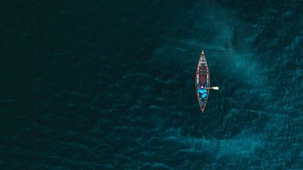 What If Megalodon Sharks Never Went Extinct?