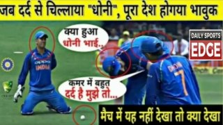 INDIA VS AUSTRALIA 2017 4th ODI : DHONI Screams In Pain After His Solid Dive to Catch a Ball|| Daily Sports Edge ||#cricket #dailysportsedge