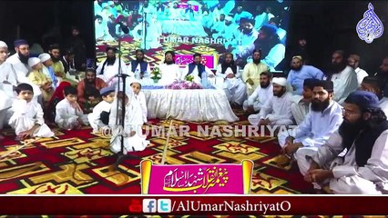 Daughter Of Allama Taj Hanfi || Beautiful Nazam