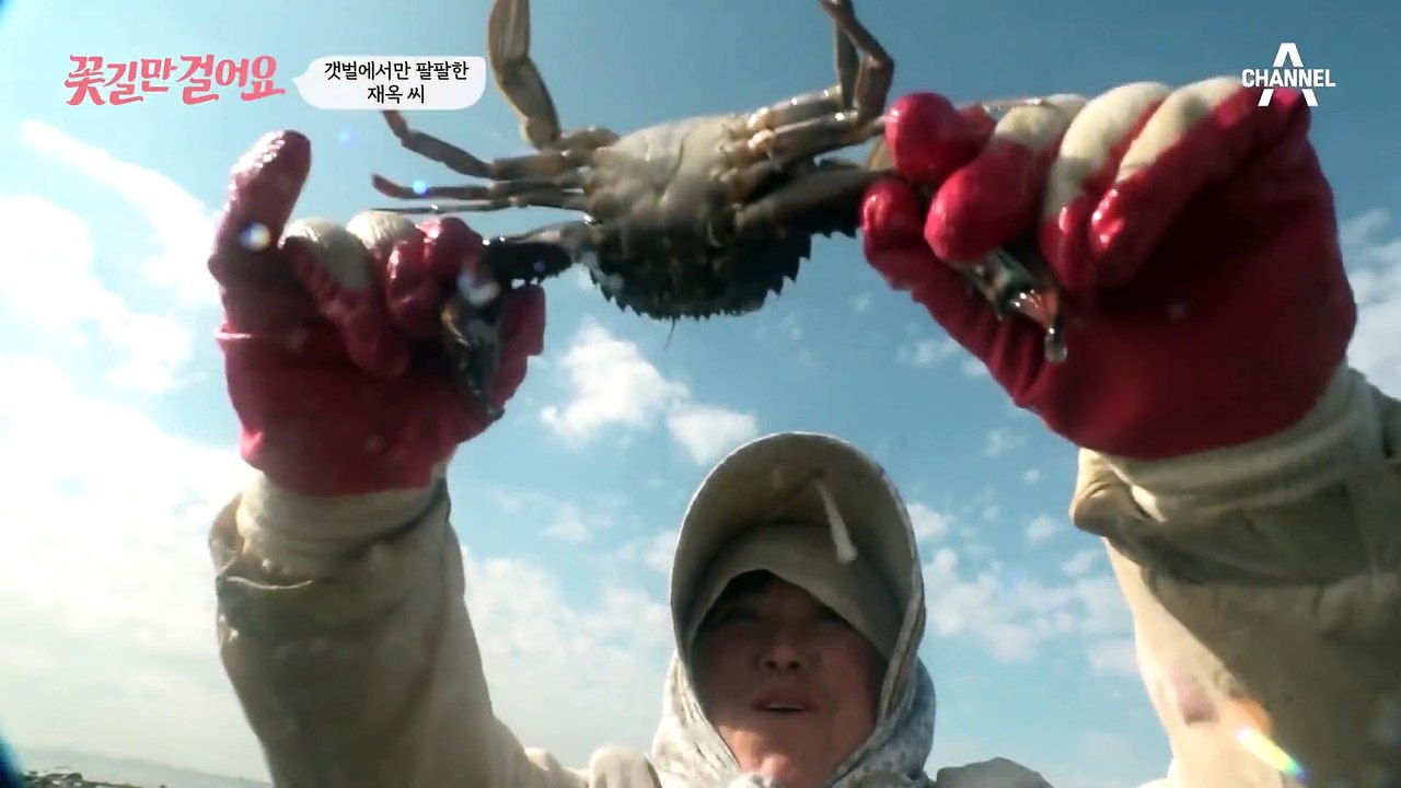 *꽃게 받고 낙지* 없는 거 없는 삶의 터전, 갯벌