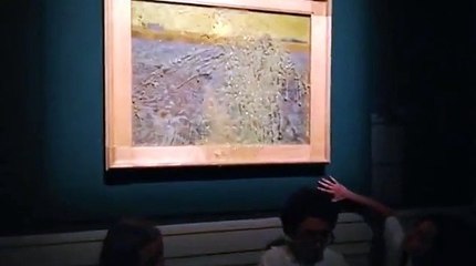 Loopy! Eco mob throws pea soup over Vincent van Gough masterpiece in Rome in latest attack on artworks