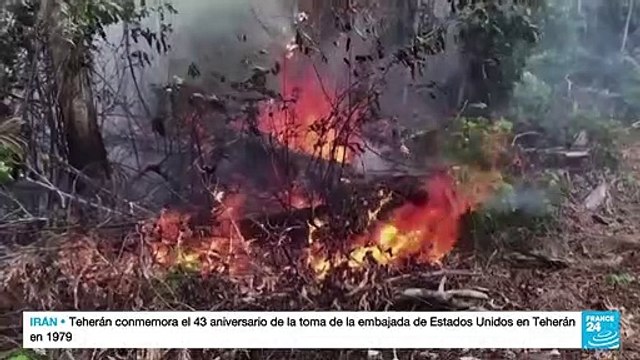 Ambientalistas brasileños ponen sus esperanzas en las políticas climáticas de 'Lula'