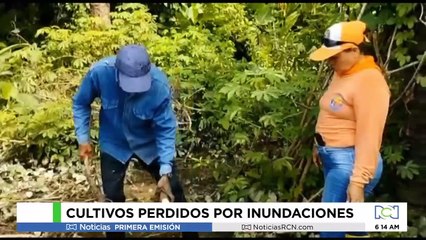 Cultivos perdidos por inundaciones en Santander