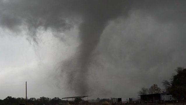 Tornadoes tear up trees near Sulphur Springs