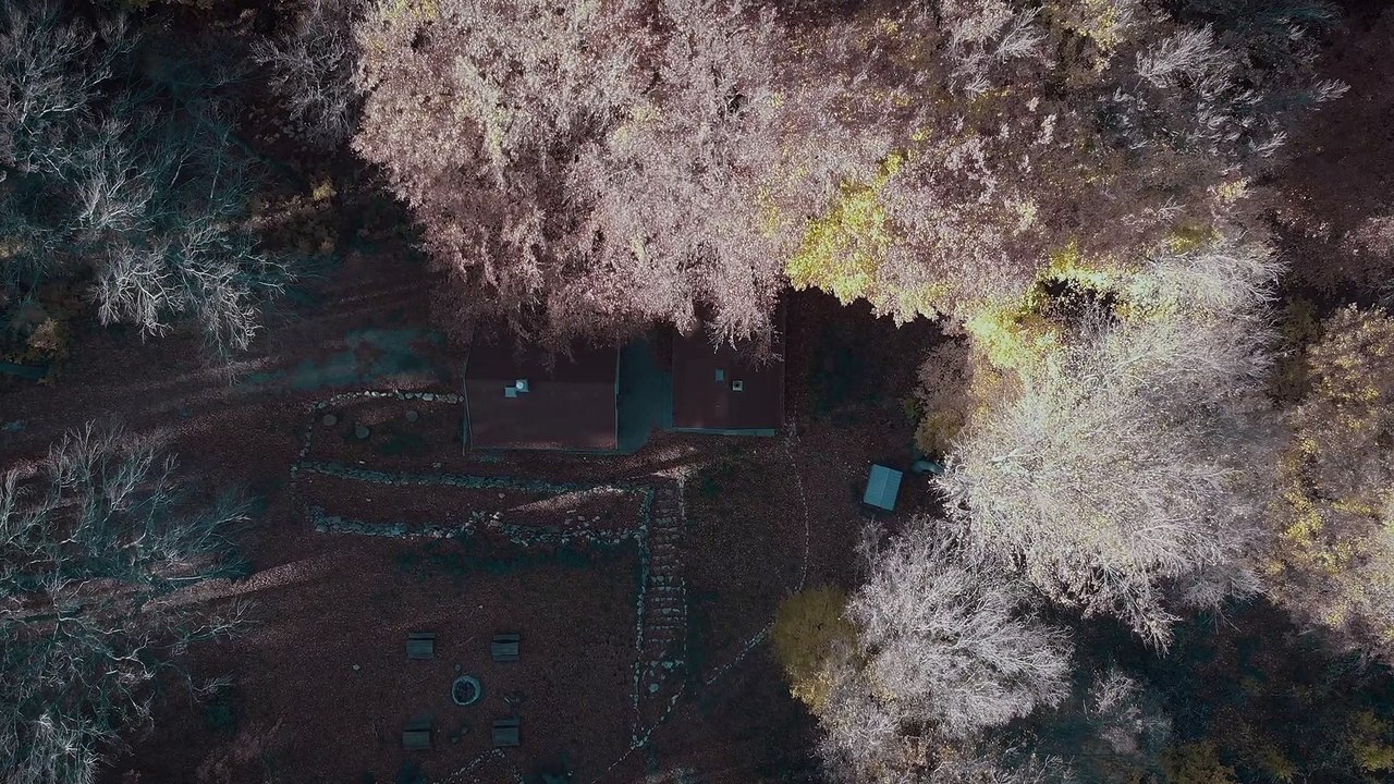 I HEAR THE TREES WHISPERING Trailer