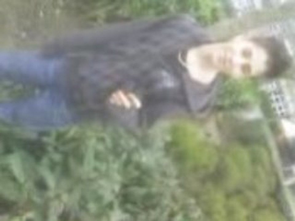 HAAN HAAN` BASTiiEN LE GALERiiEN XP