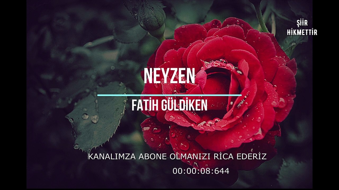 şiir hikmettir  '' bugün kime açtın gül '' barış sağlam