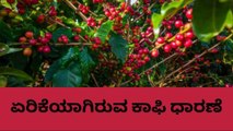 ಕೊಡಗು: ನ.05 ; ಹೀಗಿದೆ ಜಿಲ್ಲೆಯಲ್ಲಿ ಇಂದಿನ ಕಾಫಿ ಧಾರಣೆ