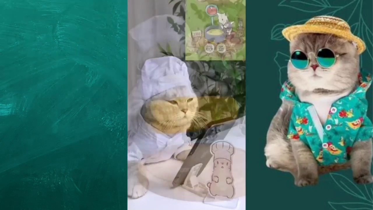 Best Funny Cats Videos 2022 | Funny Cats Compilation And Dogs | Cute Animals Part 3