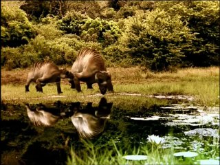 1 - BBC - CAMINHANDO COM O HOMEM DAS CAVERNAS - OS PRIMEIROS ANTEPASSADOS