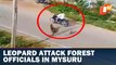 Watch Leopard Attack Bike Rider In Mysuru, Leopard Rescued Later