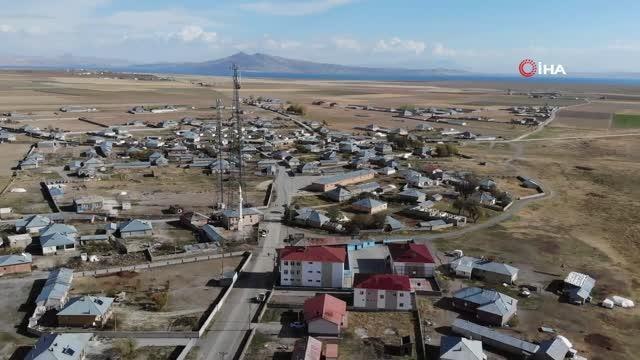 Kuduz köpeğin ısırdığı çocuğun yaşadığı köyde başıboş köpekler korku saçıyor