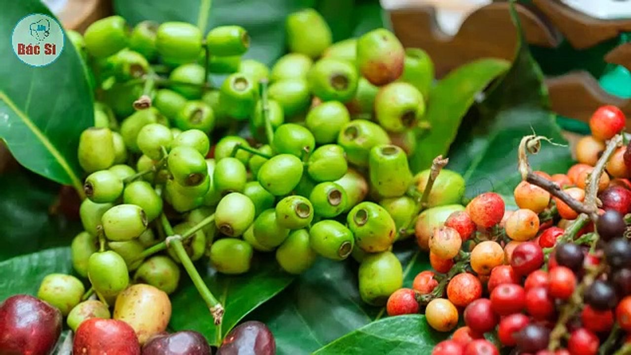 Công dụng của Cây Vối là gì ?
