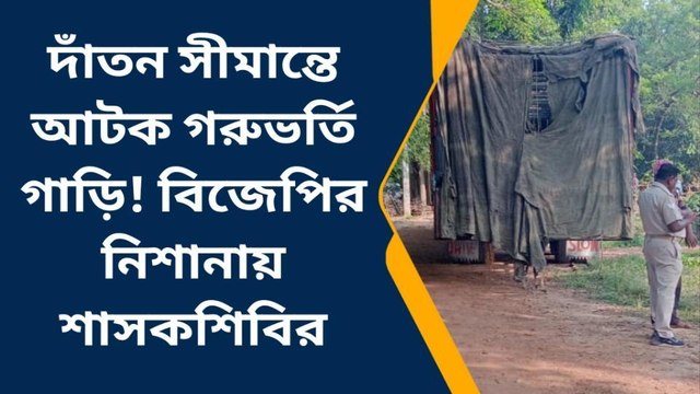 পশ্চিম মেদিনীপুর: সীমান্তে আটক ৭ গাড়ি গরু, আঙুল উঠছে তৃণমূলের দিকে!