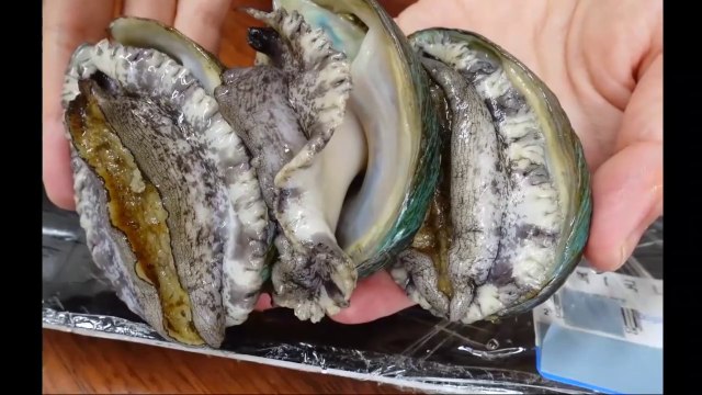 ASMR SPICED SEAFOOD BOIL COOKING AND EATING SOUNDS OF OCTOPODES, ENOKI MUSHROOMS, AND NODLES