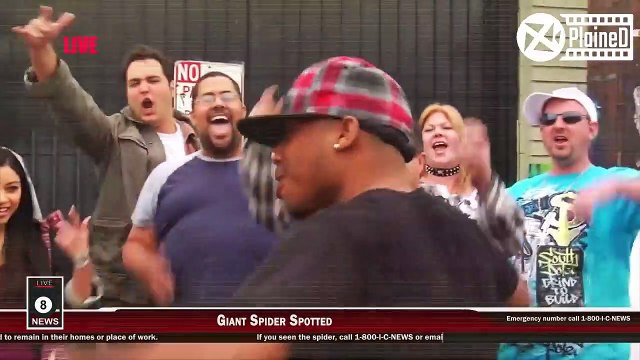 Mutated Spider Grows Bigger Every time It Feeds On Humans