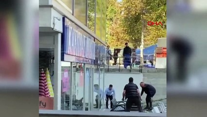 Büyükçekmece'de maymun mahalleyi karıştırdı