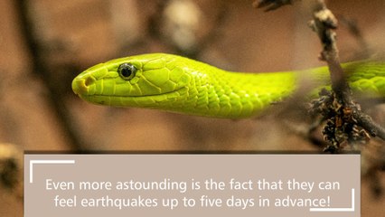 7 Fun Facts You'll Love To Know #1