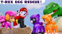 Paw Patrol T-REX Dinosaur Rescue Story with the Cat Pack Cartoon For Kids and Children