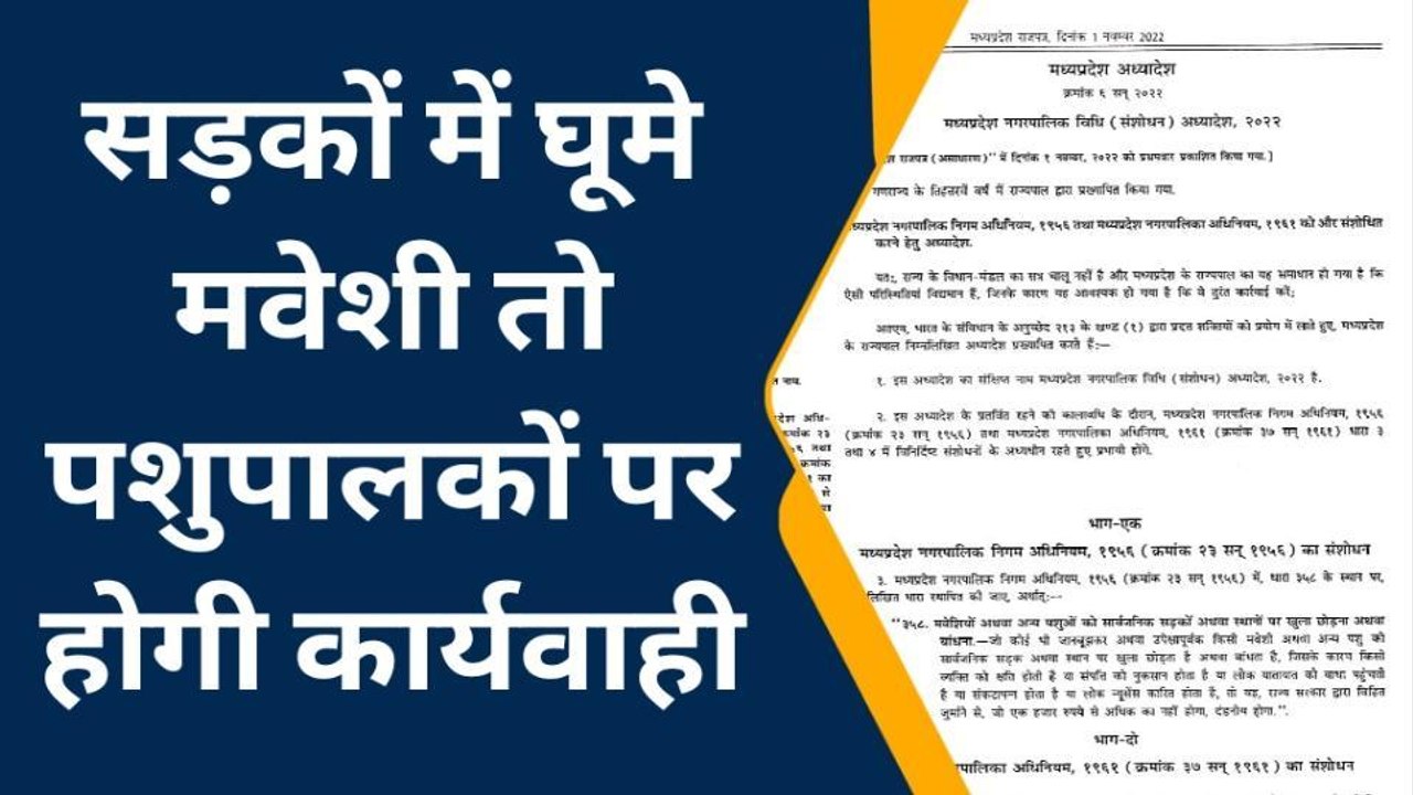 अनूपपुर: सडक पर छोड़ा मवेशियों को तो लगेगा जुर्माना आदेश पर, देखें प्रतिक्रिया