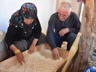 Eskişehirli kadın çiftçi ata tohumuyla kuru fasulye üretiyor
