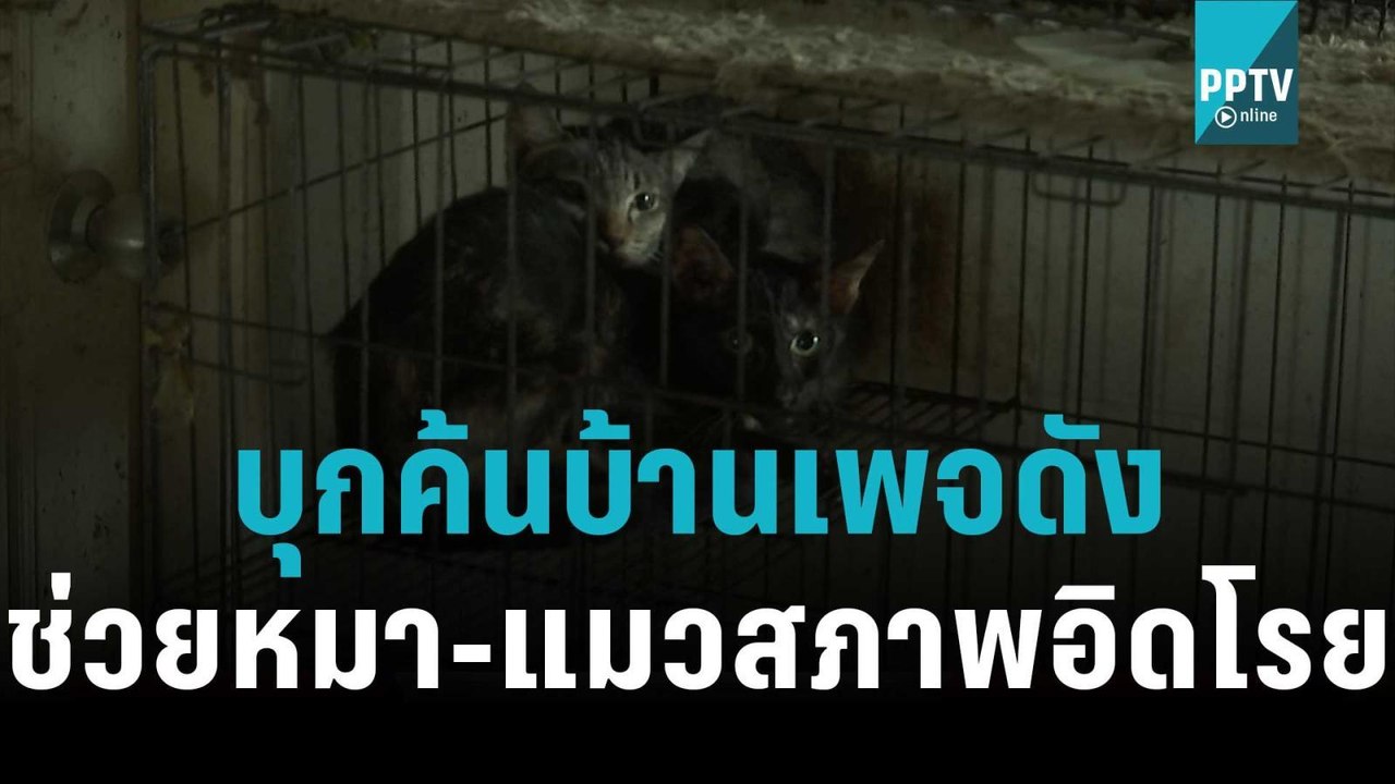 ปศุสัตว์-วอชด็อก บุกค้นบ้านเพจดัง รุดช่วยหมา-แม...