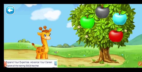 COLOR RECOGNISE BY KIDS. COLOR LEARNING