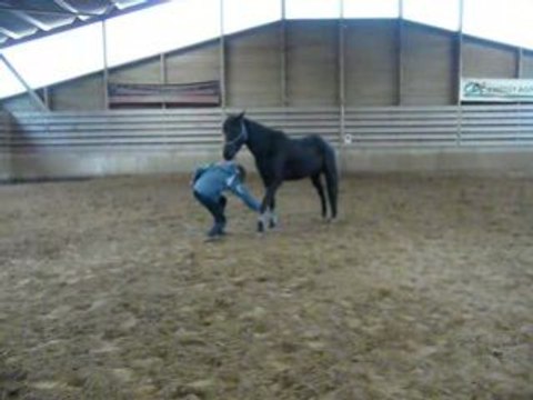 Jambettes et révérance