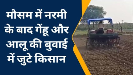 राजाखेड़ा: मौसम ने दिया साथ, बुवाई में जुटे किसान, देखिए विशेष रिपोर्ट