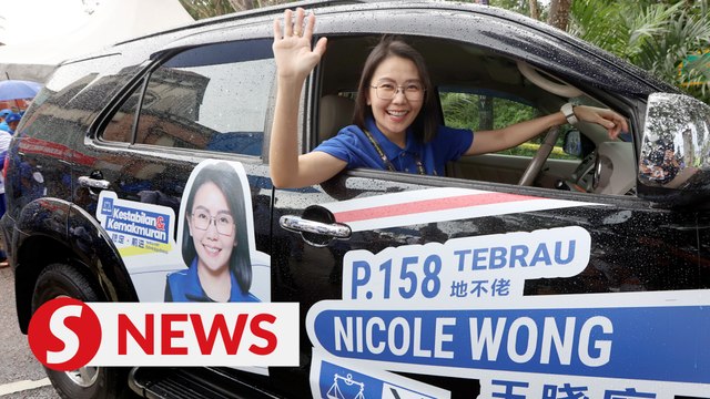 GE15: MCA Youth chief in three-corner fight for Tebrau