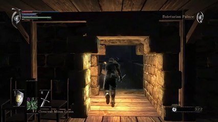 Demon's Souls online multiplayer - ps3