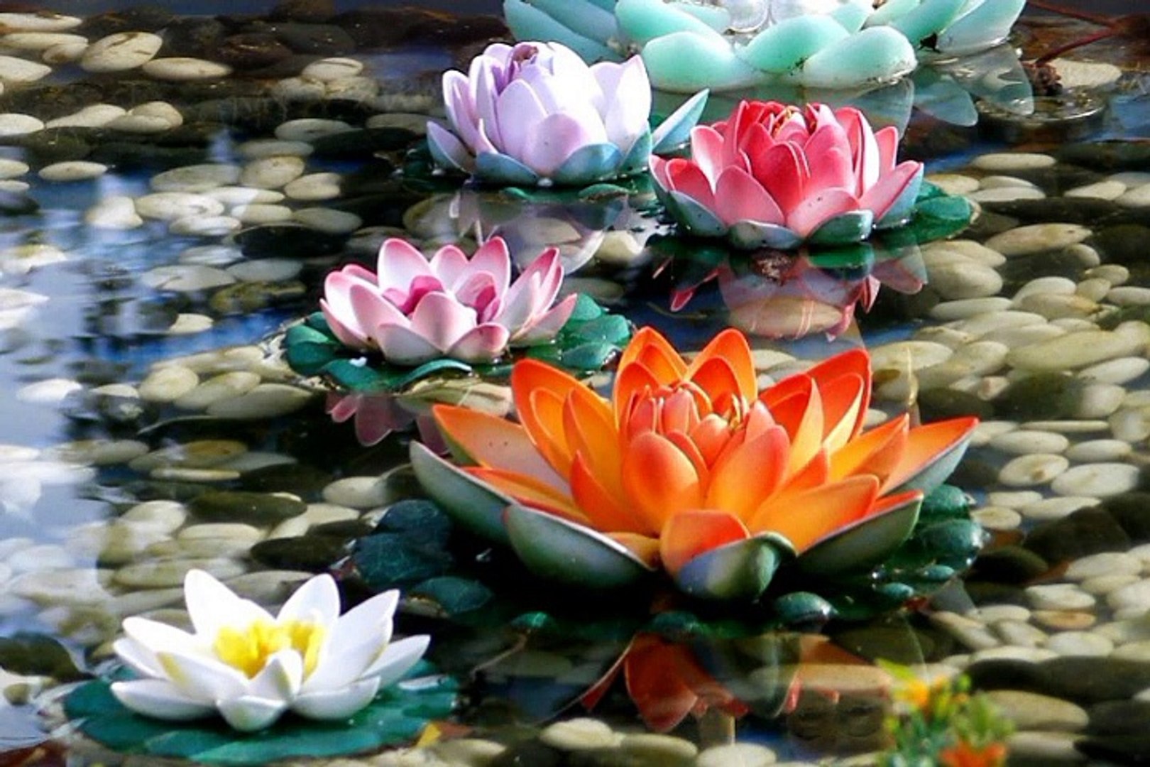 Morning Relaxing Music,Relaxing Music,Claiming Music,Soothing Relaxation,Yoga Music,Therapy Music