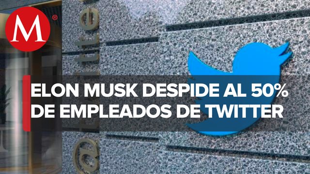 Elon Musk despide a la mitad de trabajadores de Twitter; medida afecta a empleados en México