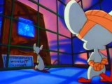 Pinky And The Brain - S1E6 E7 E8 - Pinky And The Fog, Where No Mouse Has Gone Before, Cheese Roll Call