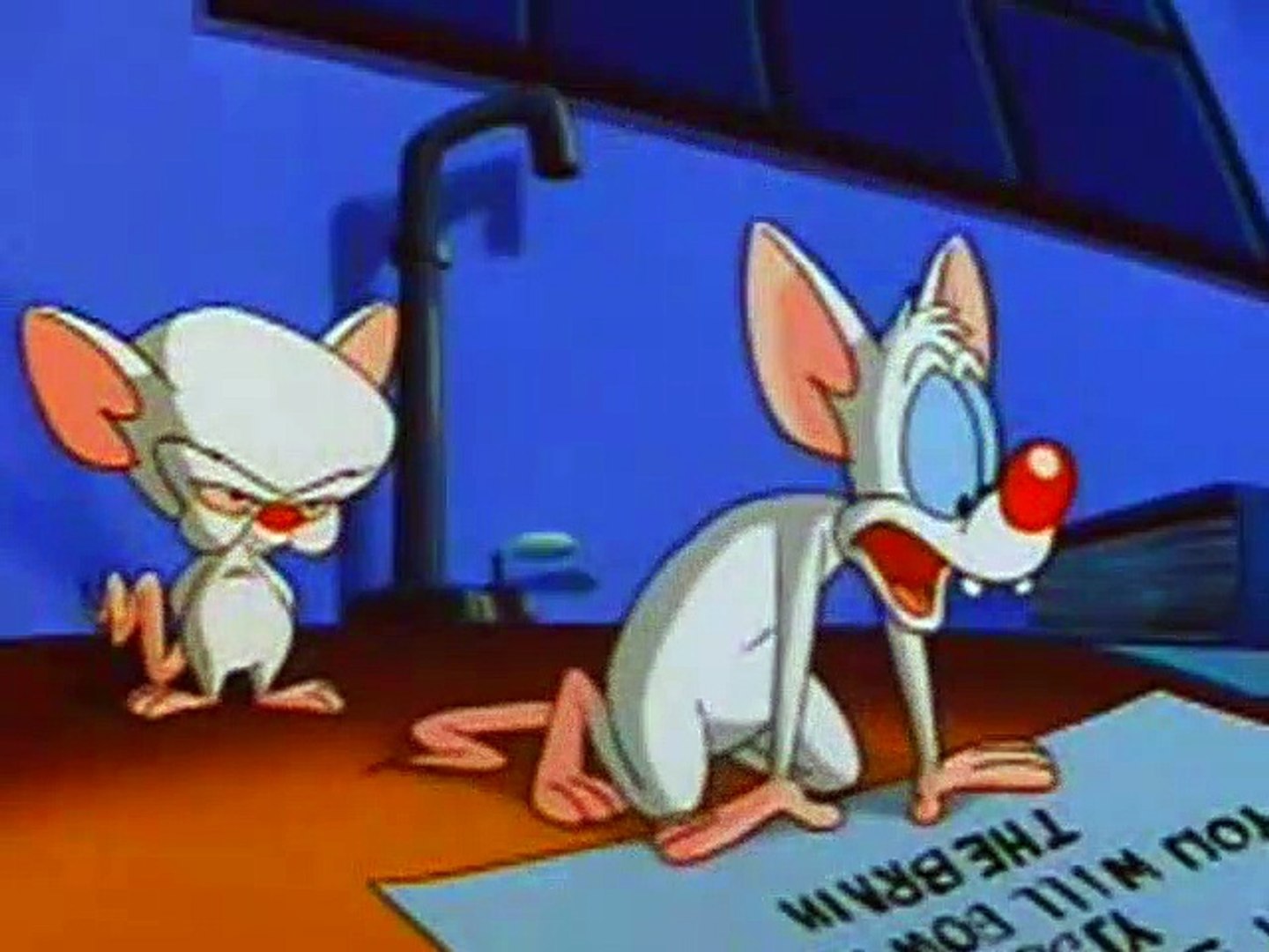 Pinky and the brain snowball