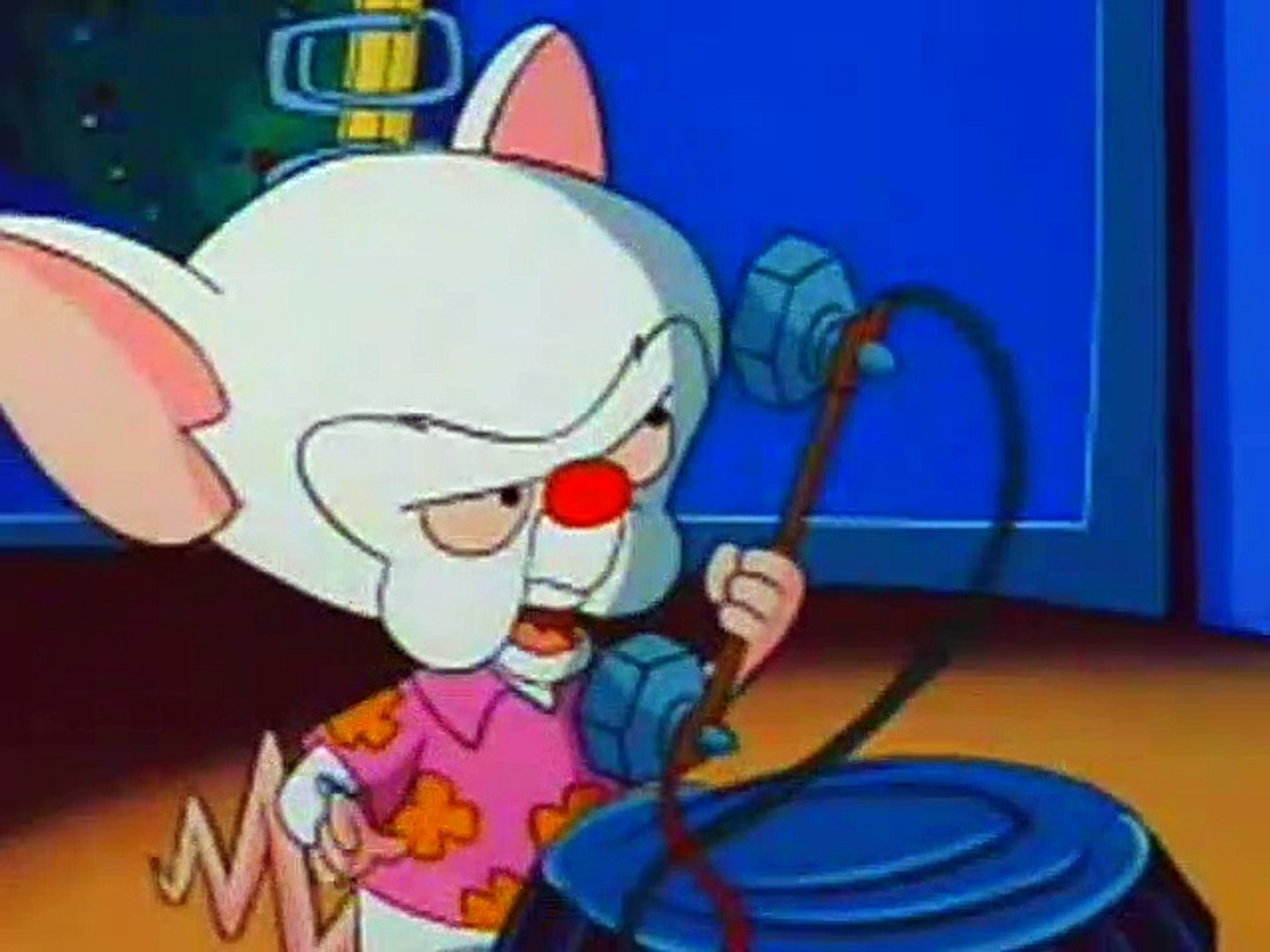 Pinky And The Brain - S1E15 - Fly - video Dailymotion