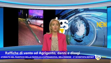 Il notiziario di Tgs edizione del 5 novembre - ore 13.50