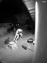 Doorbell Cam Catches Candy Thief in the Act