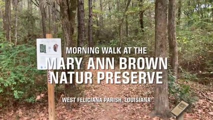 Morning Walk at the Mary Ann Brown Nature Preserve - November 2022