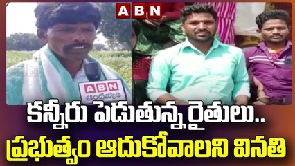 కన్నీరు పెడుతున్న రైతులు.. ప్రభుత్వం ఆదుకోవాలని వినతి || Kurnool || AP || CM Jagan || ABN Telugu